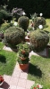 Ogrody_2023_145