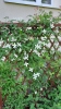 Ogrody_2023_147