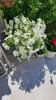 Ogrody_2023_148