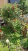 Ogrody_2023_149