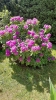 Ogrody_2023_150