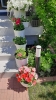 Ogrody_2023_151