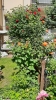 Ogrody_2023_153