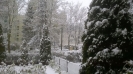 Ogrody_2023_190