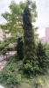 Ogrody_2023_193