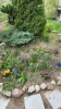 Ogrody_2023_198