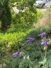 Ogrody_2023_200