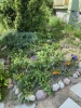 Ogrody_2023_201