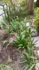 Ogrody_2023_202