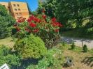 Ogrody_2023_93