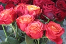 Amazonki_w_Lublinie_35