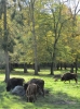 Amazonki_na_Podlasiu