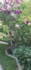 Ogrody_2023_18