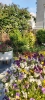 Ogrody_2023_19