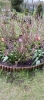 Ogrody_2023_23