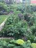 Ogrody_2023_25