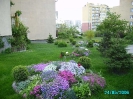 Karwiny