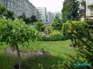 ogródki